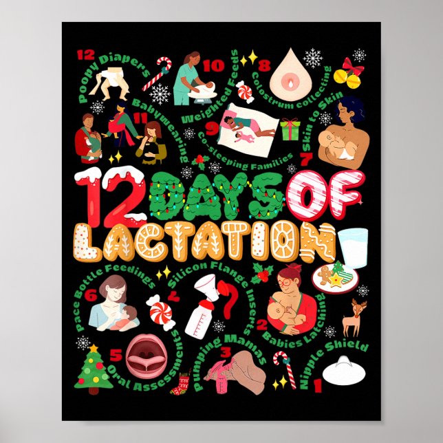 12 Day Of Ibclc Lactation Consultant Breastfeeding Poster (Front)