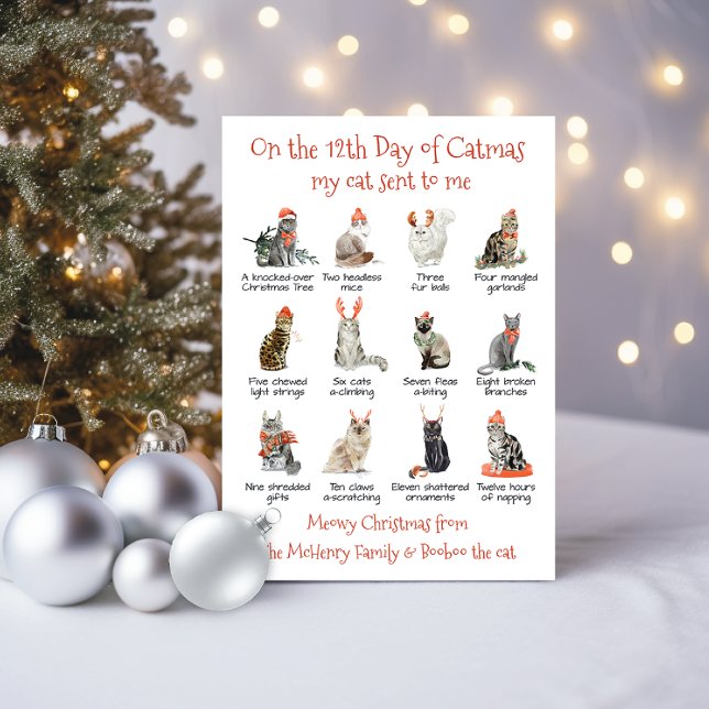 12 days of Catmas Christmas Cat Holiday Card (Creator Uploaded)