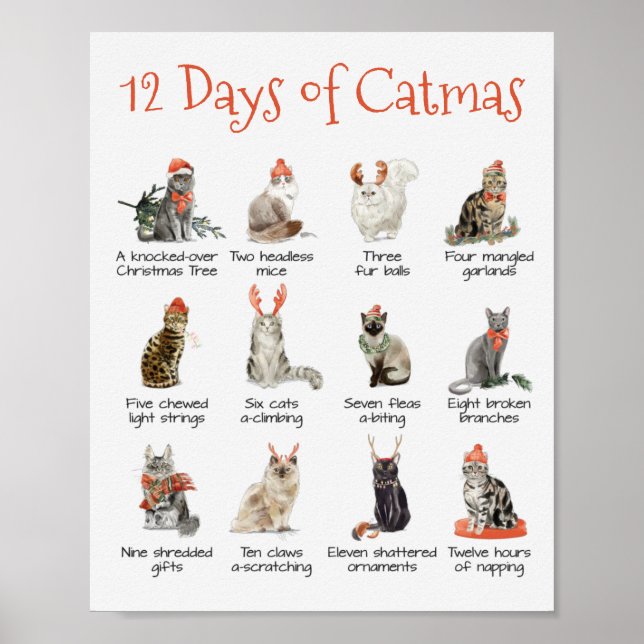 12 days of Catmas Christmas Cat poster print (Front)