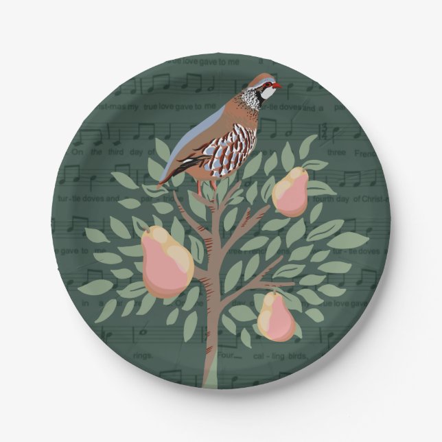 12 days of Christmas Paper Plate (Front)