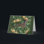 12 Days of Christmas - Partridge in a Pear Tree Holiday Card<br><div class="desc">This is a reworking of my popular "12 Days of Christmas" designs,  improved to look even better in Zazzle's format!</div>