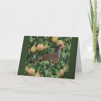 12 Days of Christmas - Partridge in a Pear Tree