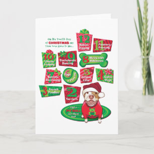 12 Dogs of Christmas Holiday Card