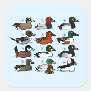 12 Ducks Square Sticker