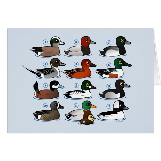 12 Ducks with Key (Front Horizontal)