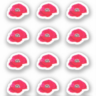 12 Mini Poppy Stickers