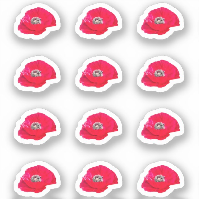 12 Mini Poppy Stickers (Front)