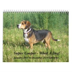 12 Month Beagle Calendar - What A Dog!