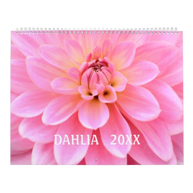 12 month Beautiful Dahlia Photo Calendar (Cover)