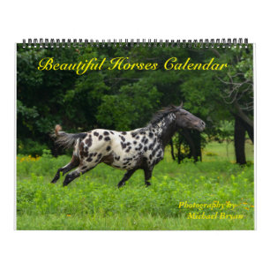 12 Month Beautiful Horses Calendar, Large Calendar
