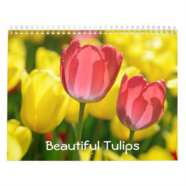 12 month Beautiful Tulips (#2) Calendar (Cover)