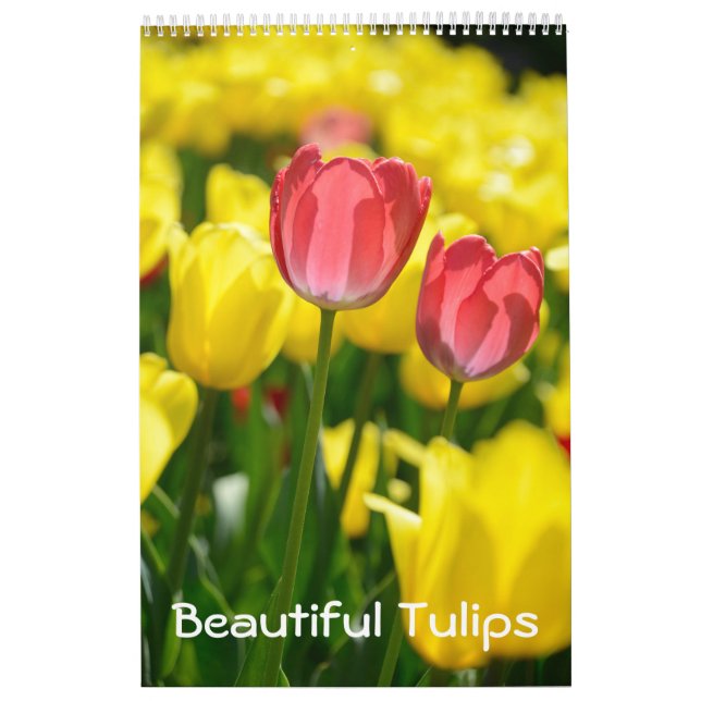 12 month Beautiful Tulips (#2) Calendar (Cover)