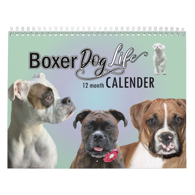 12 Month Boxer Dog Life Calendar (Cover)