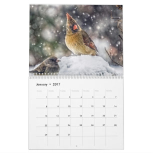 12 Month Calendar