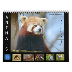 12 month calendar animals