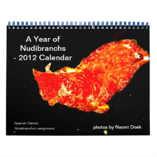 12 month calendar featuring photos of Nudibranchs