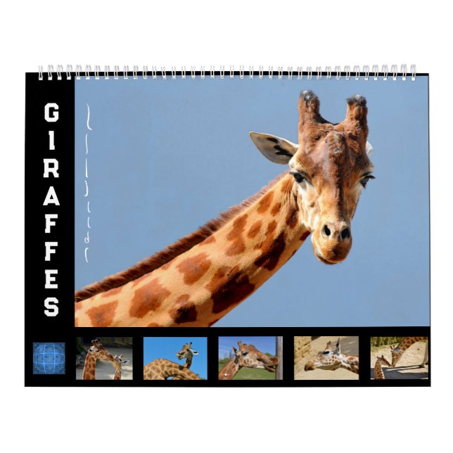 12 month calendar giraffes (Cover)