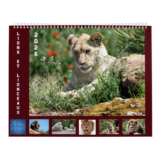 12 month calendar Lion family (Cover)