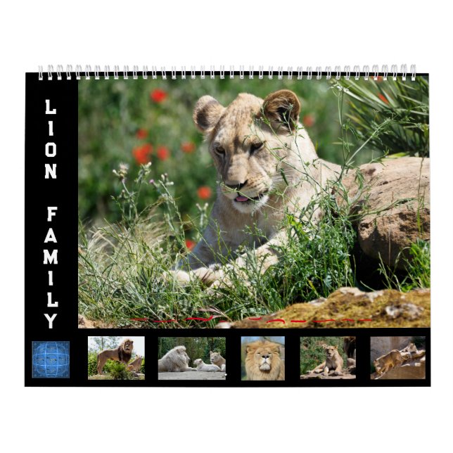 12 month calendar Lion family (Cover)