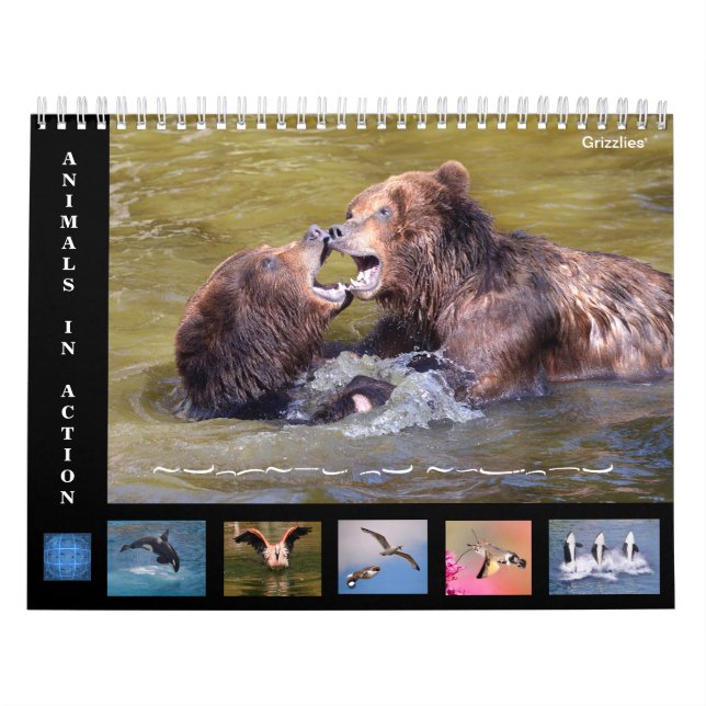 12 month calendar of animals in action (Cover)