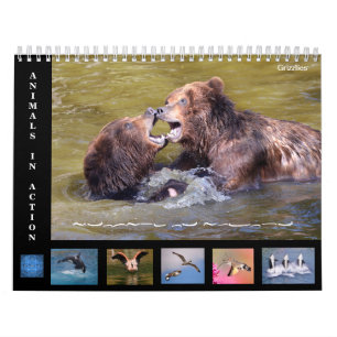 12 month calendar of animals in action