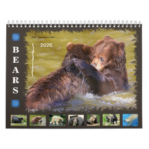 12 month calendar various bears
