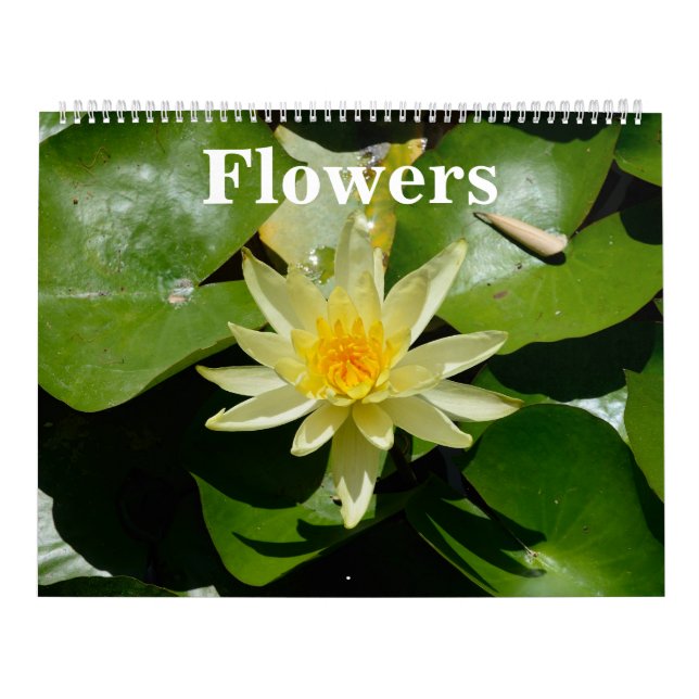 12 month Flowers Wall Calendar (Cover)