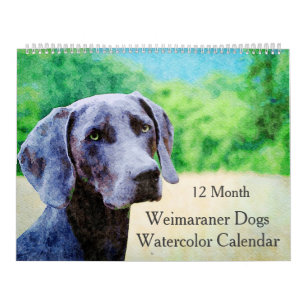 12 Month Ghostly Weimaraner Dogs Watercolor Gifts Calendar