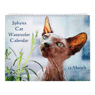 12 Month Hairless Sphynx Cats Watercolor Paintings Calendar