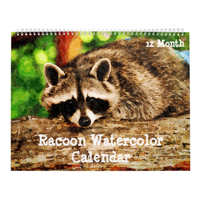 12 Month Watercolor Racoon Wildlife Painting Art  Calendar (Cover)