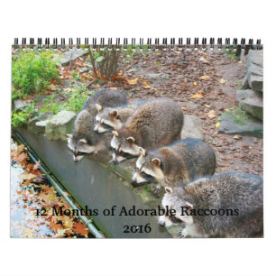 12 Months of Adorable Raccoons Calendar 2016