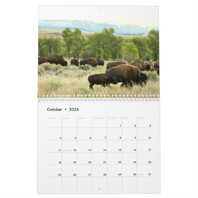 12 Months of Animals and Wildlife Edition 3 Calendar (Oct 2026)