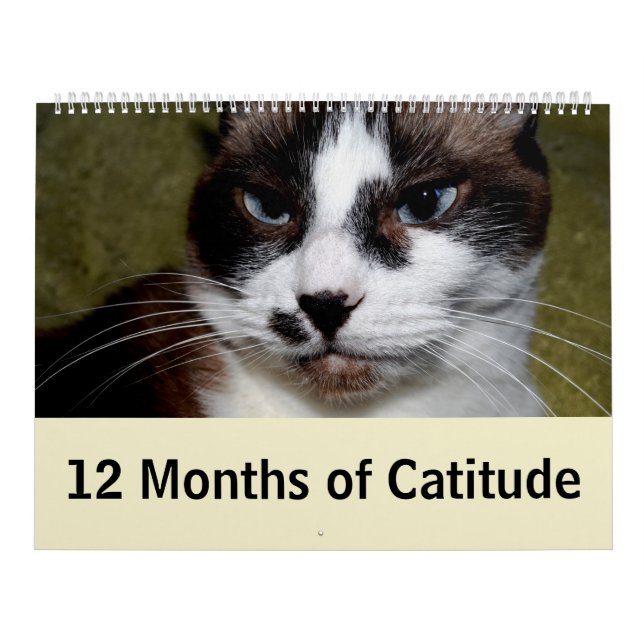 12 months of Catitude Calendar (Cover)