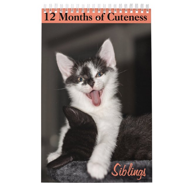 12 Months of Cuteness Kittens Siblings Calendar (Cover)