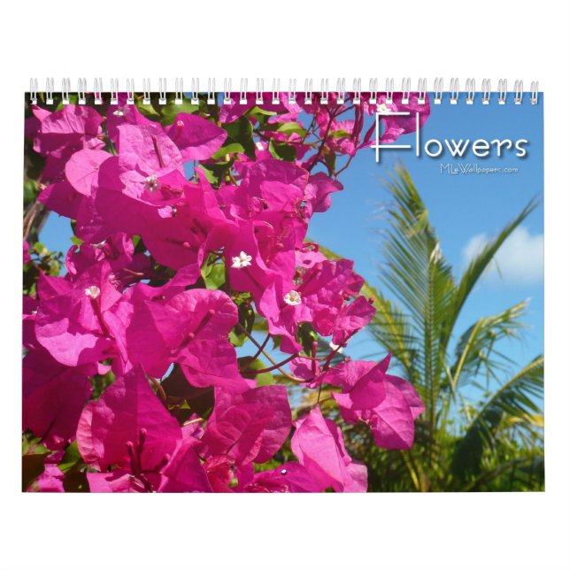 12 Months of Floral Photography, 3rd Edition Calendar (Cover)