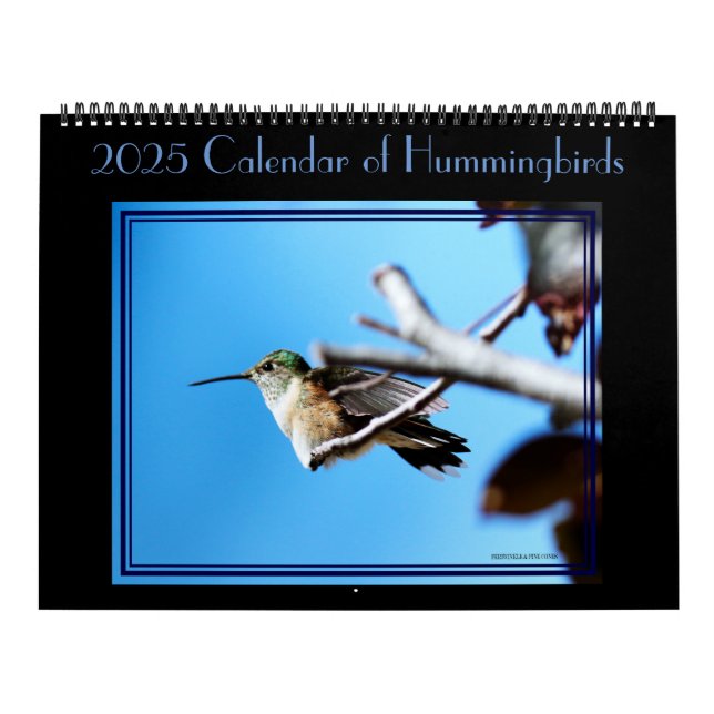 12 months of hummingbirds calendar. calendar (Cover)
