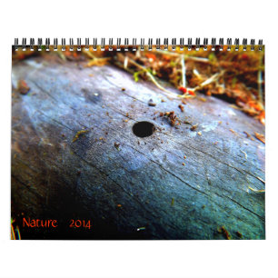 12 Months of Nature Calendar