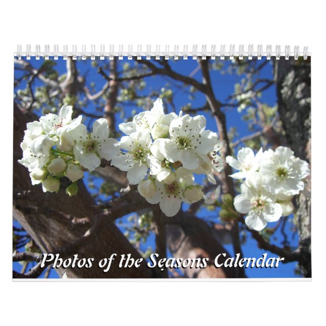 12 Months of Photos of the Seasons, 10th Edition Calendar (Cover)