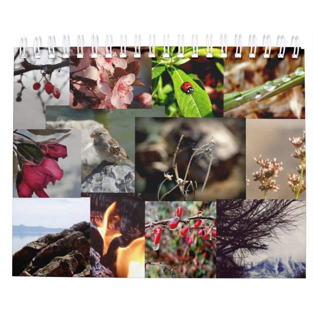 12 Months of the Year Dutch/Netherlands Calendar (Back)