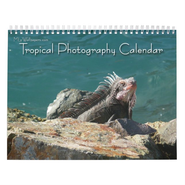 12 Months of Tropical Photography, 2nd Edition Calendar (Cover)