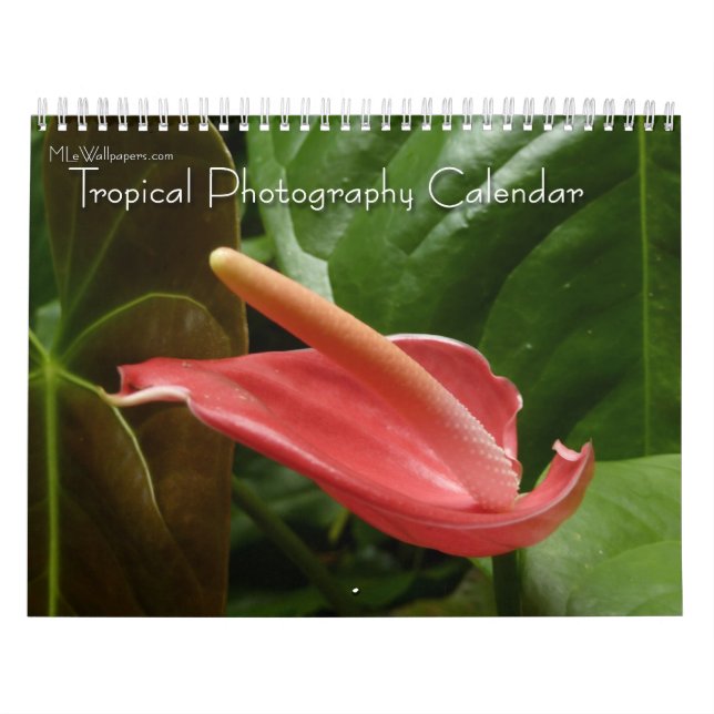 12 Months of Tropical Photography, 4th Edition Calendar (Cover)