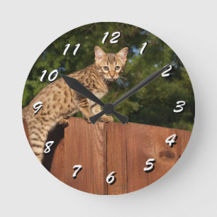 12 Number Choices to Choose --Cat Clock