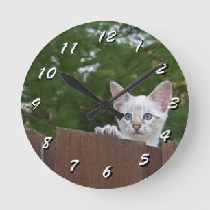 12 Number Choices to Choose --Cat Clock