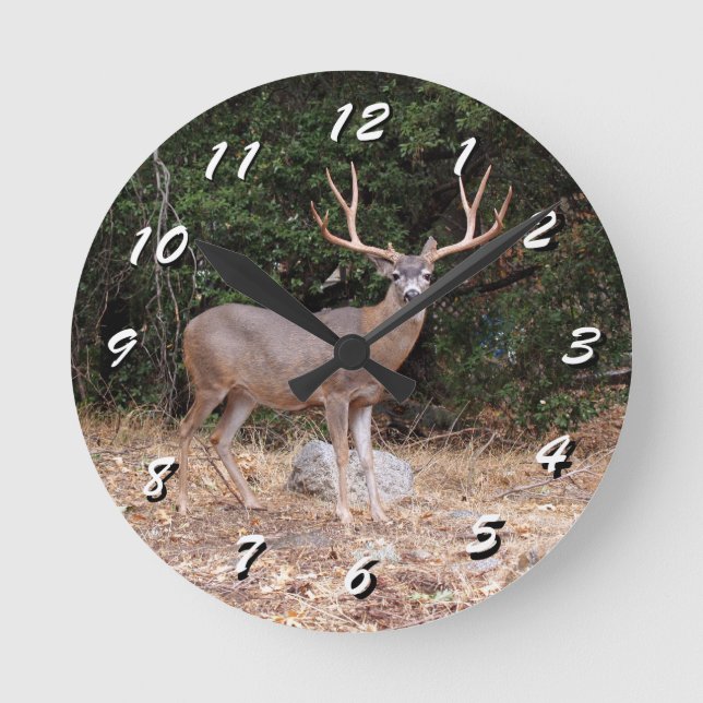 12 Number Choices to Choose --Wild Deer Clock (Front)