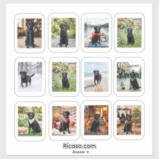 12 Personalised Photo With White Frame