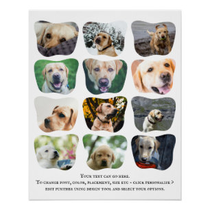 12 Photo Collage And Text Unique Personalised Poster