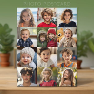 12 Photo Grid Collage - Photos Only Postcard