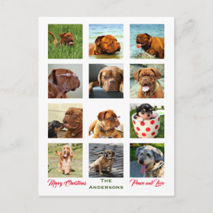12 Picture Family Photo ✨ Collage Christmas Postcard
