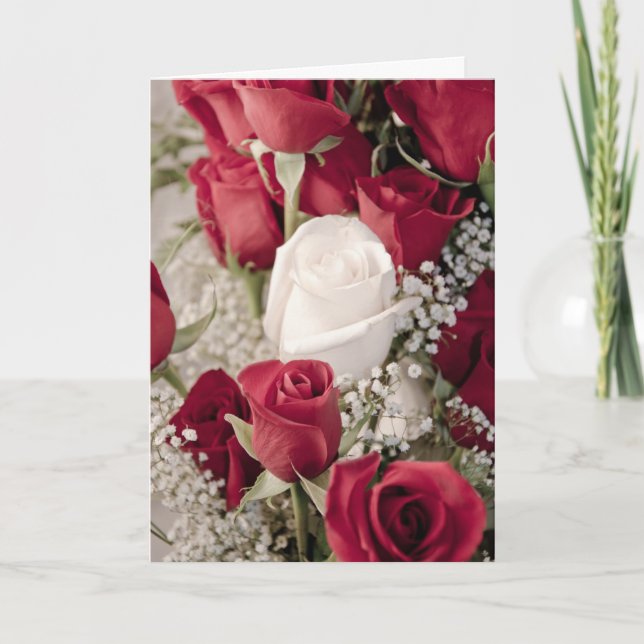 12 red 1 white valentine rosebuds collection holiday card (Front)