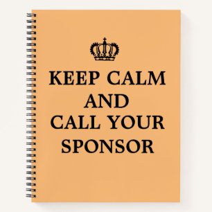 12 Step Recovery Sobriety AA NA Journal Notebook